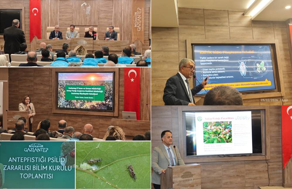 Antepfıstığı psillidi Zararlısı Bilim Kurulu Toplantısı